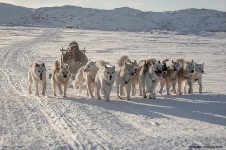 Expedition on Dogsled | 2 Days | Ilulissat - Image 10