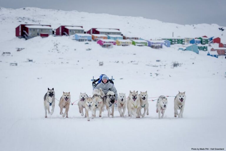 Expedition on Dogsled | 2 Days | Ilulissat - Image 6