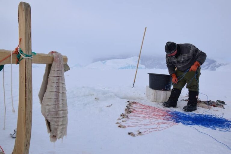 Experience Winter in the Arctic | Uummannaq & Ilulissat | from Iceland - Image 2