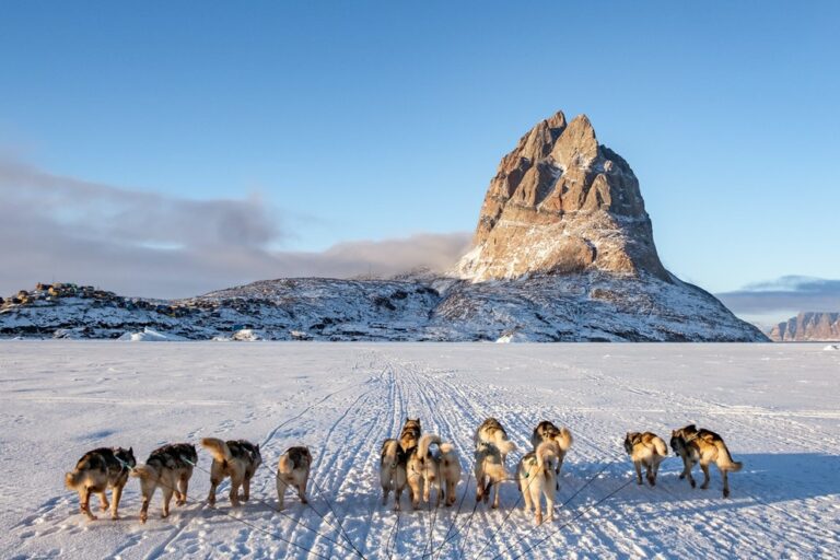 Experience Winter in the Arctic | Uummannaq & Ilulissat | from Iceland - Image 11