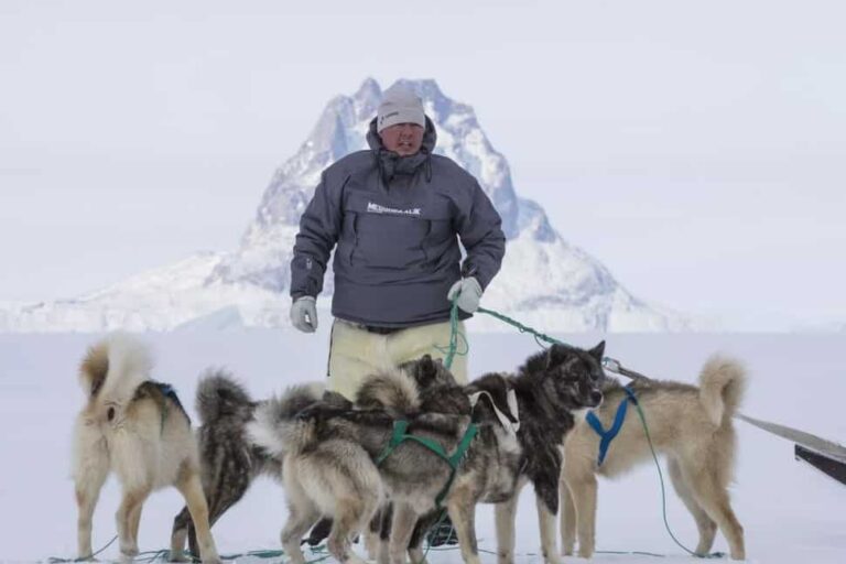 Experience Winter in the Arctic | Uummannaq & Ilulissat | from Iceland - Image 14