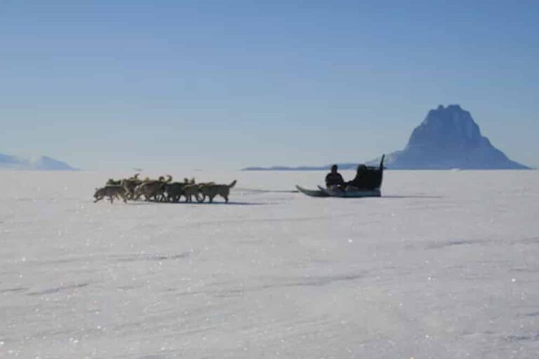 Experience Winter in the Arctic | Uummannaq & Ilulissat | from Iceland - Image 18