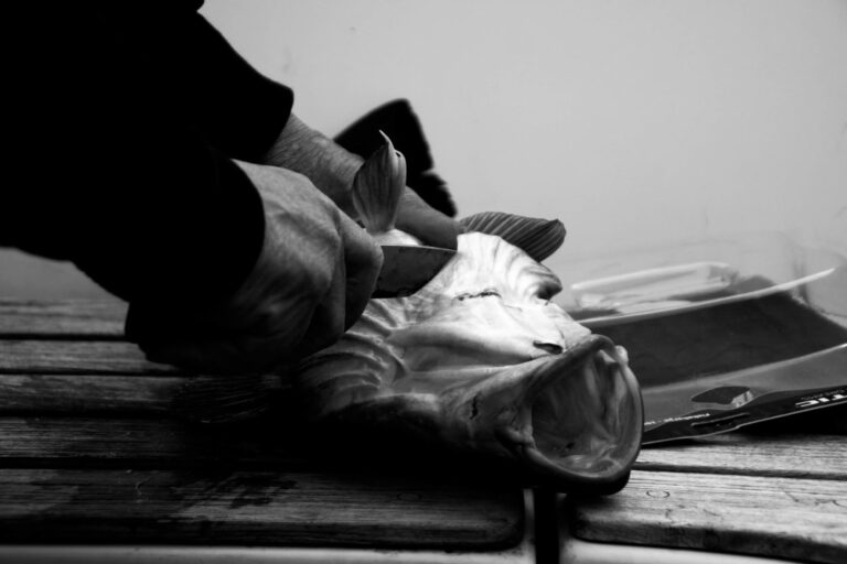 Fish'n'dish | Qooqqut Nuan | Nuuk - Image 13