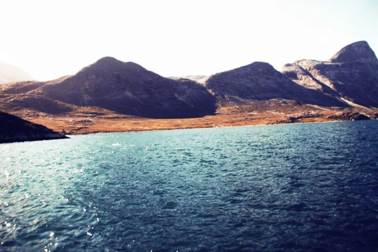 Fish'n'dish | Qooqqut Nuan | Nuuk - Image 7