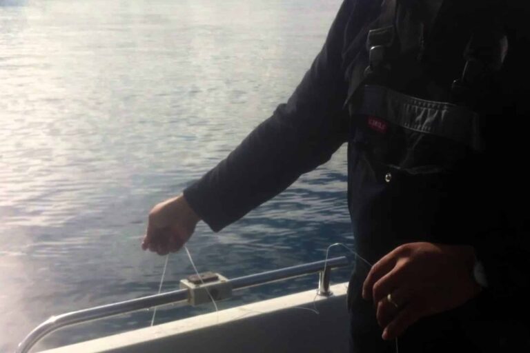 Fisketur - Torsk | Nuuk - Billede 4