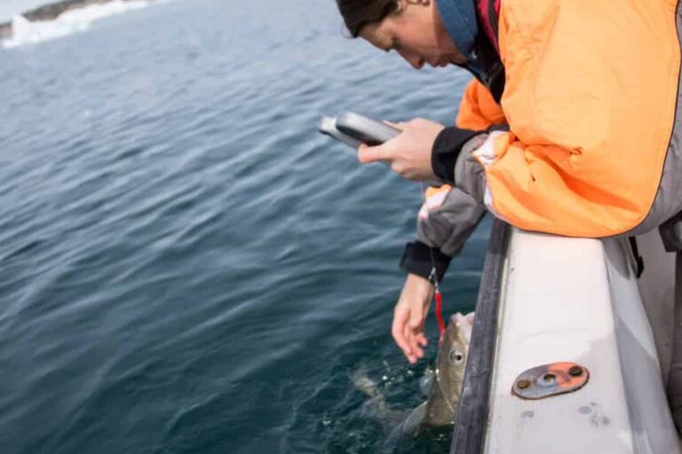 Fisketur | Ilulissat | Diskobugten - Billede 5