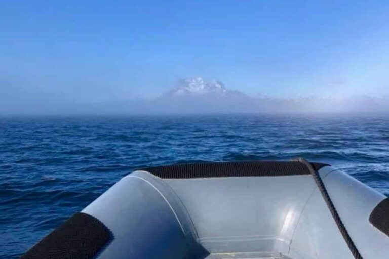 Fjord Excursion | Powerboat Ride | Nuuk - Image 5