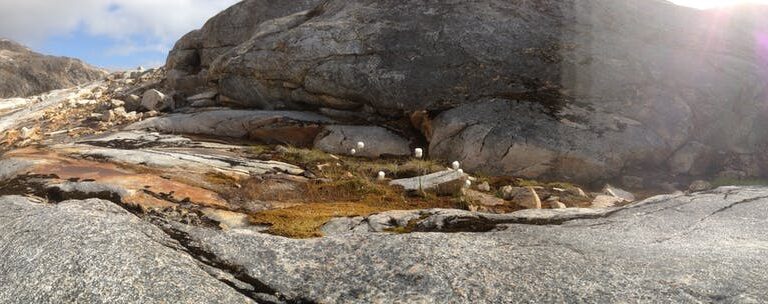 Gate Way To Greenland | Kulusuk & Tasiilaq | East Greenland - Image 13