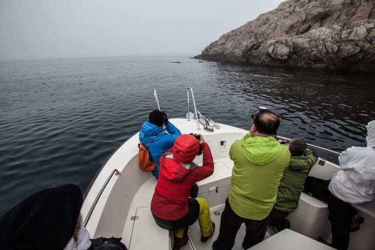 Bootsfahrt zum Geisterdorf | Sisimiut | Westgrönland - Image 9