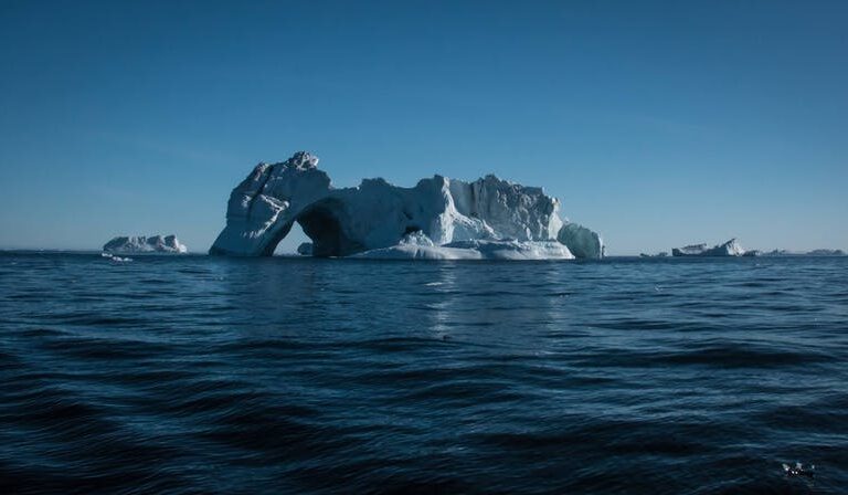 Glacier Adventure by boat | Tasiilaq | East Greenland - Image 11