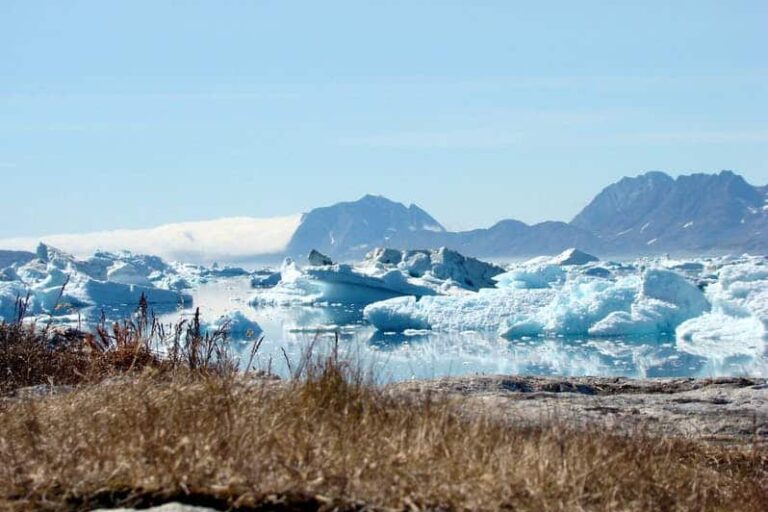 Glacier Adventure by boat | Tasiilaq | East Greenland - Image 10