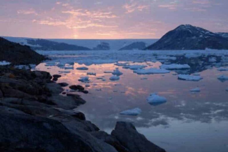 Glacier Adventure by boat | Tasiilaq | East Greenland - Image 7
