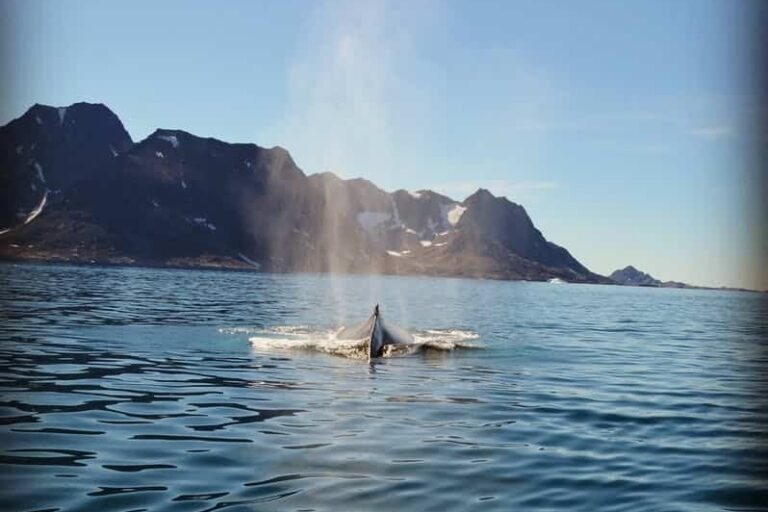 Glacier Adventure by boat | Tasiilaq | East Greenland - Image 6