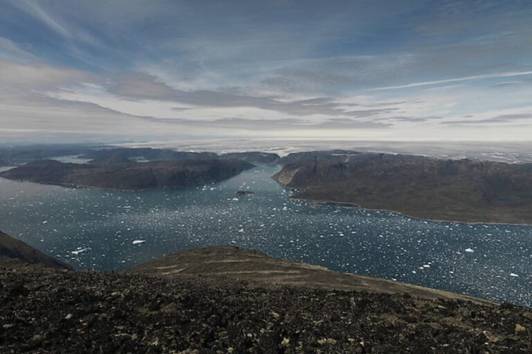 Gletsjer Cruise | Qaqortoq | Sydgrønland - Billede 5