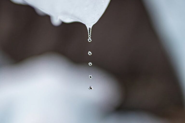 Gletsjer Cruise | Qaqortoq | Sydgrønland - Billede 6