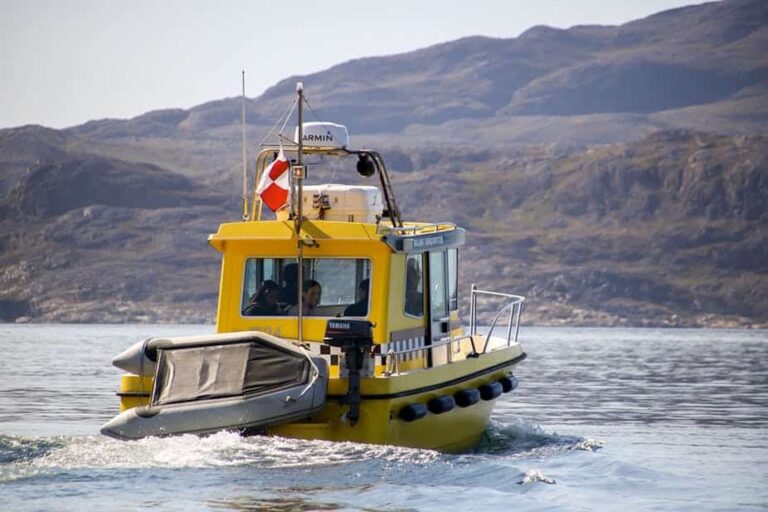 Gletsjer Cruise | Qaqortoq | Sydgrønland - Billede 7
