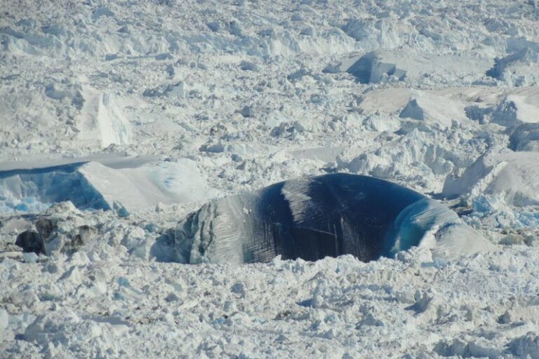 Flightseeing over Isfjorden | Ilulissat | Diskobugten - Billede 7