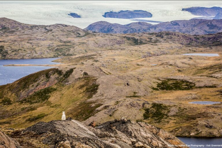 Tur til Indlandsisen | Punkt 660 | Kangerlussuaq - Billede 11