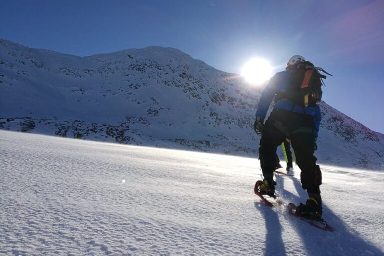 Half day Snowshoe Hike | Nuuk - Image 4