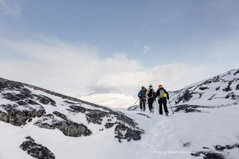 Half day Snowshoe Hike | Nuuk - Image 3