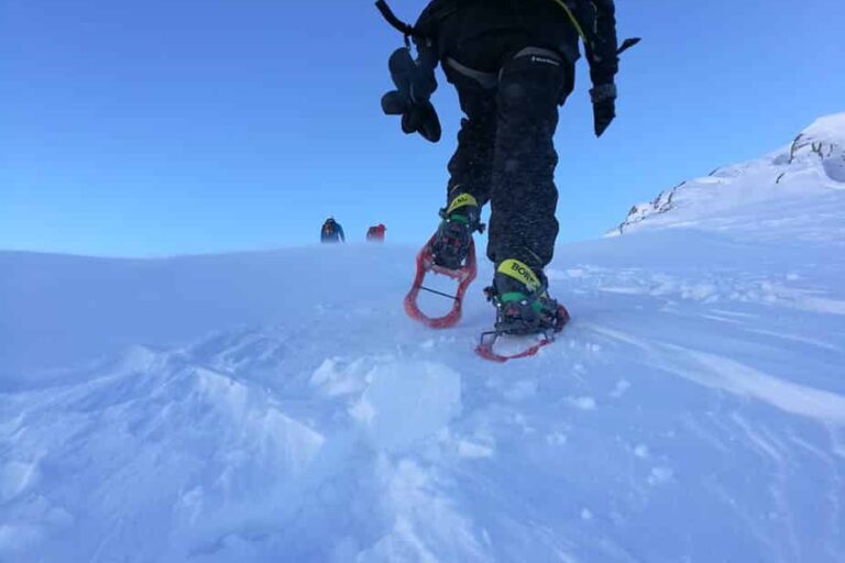 Half day Snowshoe Hike | Nuuk - Image 8