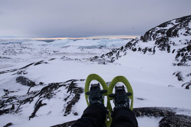 Highlights of the Arctic winter in 5 days | Ilulissat | Disko Bay - Image 11