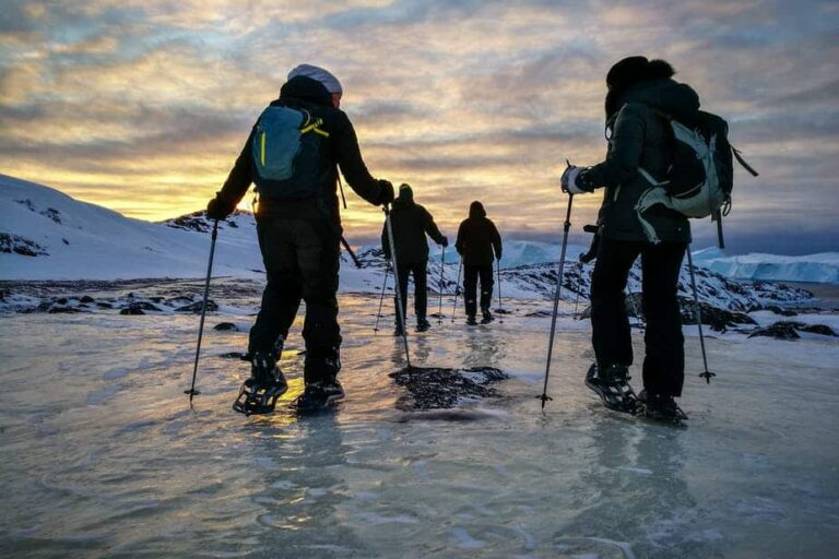 Highlights of the Arctic winter in 5 days | Ilulissat | Disko Bay - Image 6