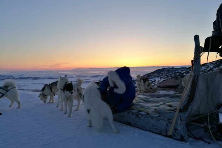 Highlights of the Arctic winter in 5 days | Ilulissat | Disko Bay - Image 8