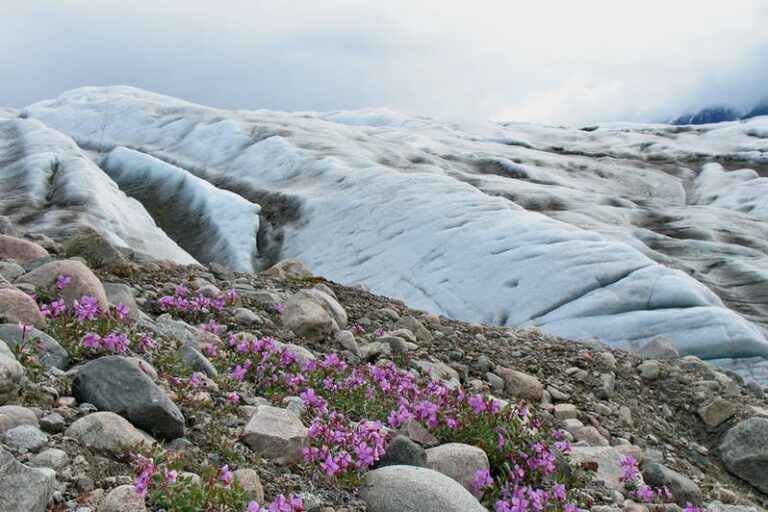 Hiking Exploration | 8 Days | South Greenland - Image 20