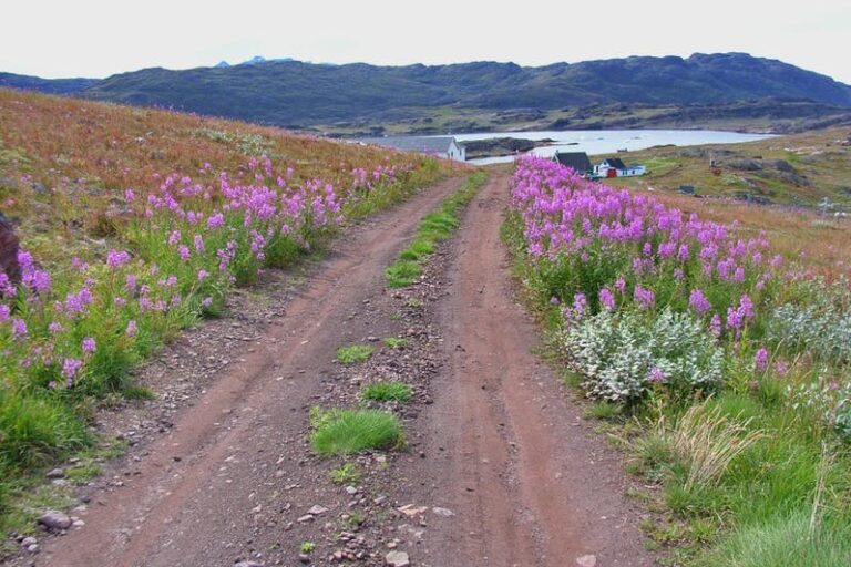 Hiking Exploration | 8 Days | South Greenland - Image 6