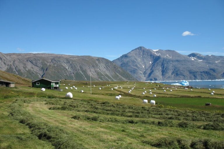 Hiking Exploration | 8 Days | South Greenland - Image 23