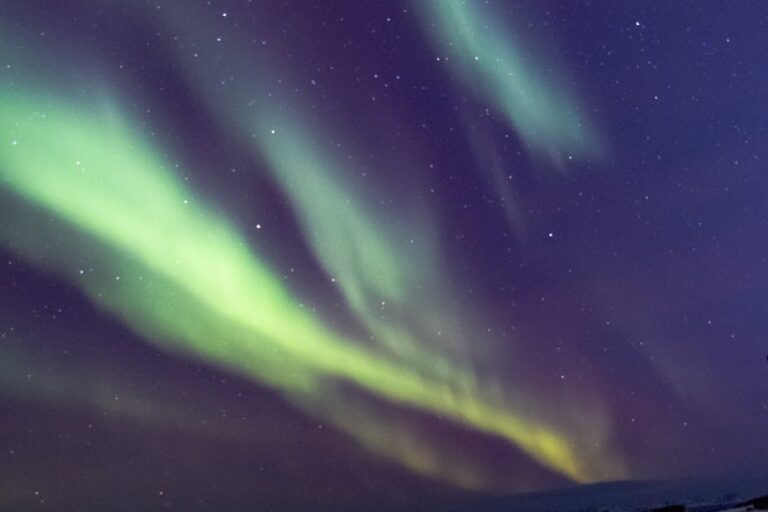 Hunting Northern Lights with Snowmobile | Ilulissat - Image 5