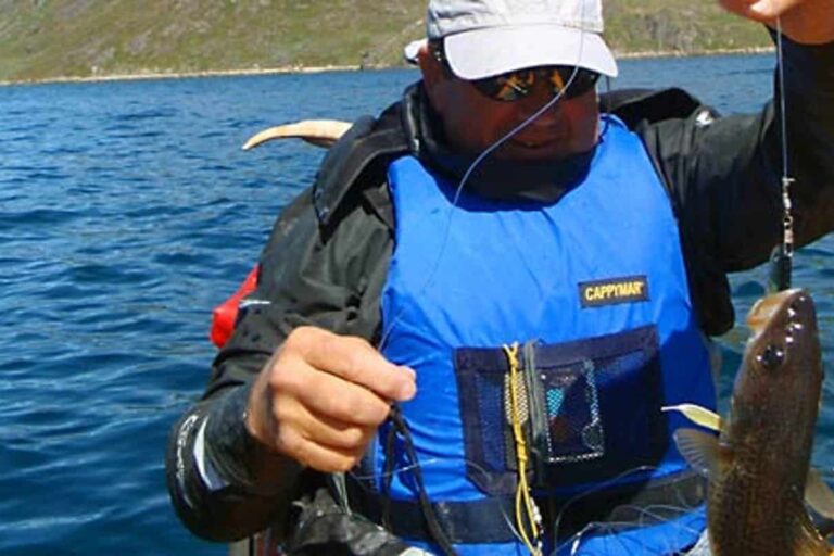 Kayak & Ice Hike | 8 Days | South Greenland - Image 10