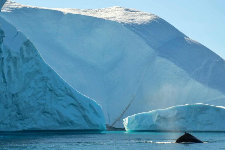Midnight Sailing | Uummannaq | North Greenland - Image 7