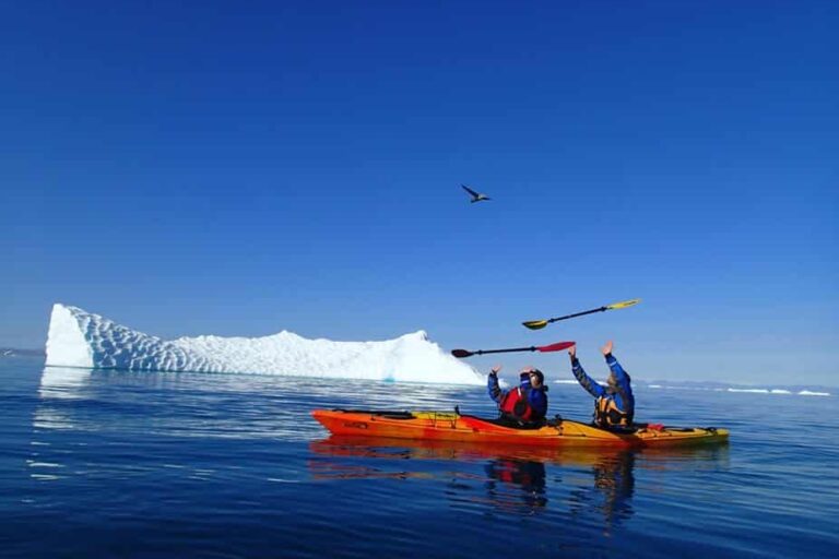 Morgen-kajaktur blandt isbjerge | Ilulissat - Billede 2