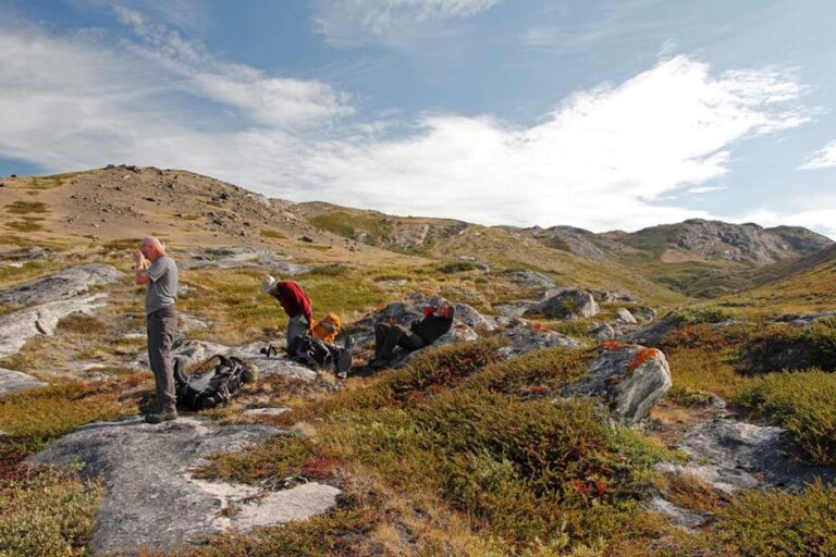Musk Ox Hike | Kangerlussuaq | West Greenland - Image 19
