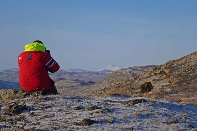 Musk Ox Hike | Kangerlussuaq | West Greenland - Image 12