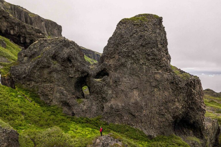 Nuuk, Ilulissat og Disko øen Pakke | Vest Grønland - Billede 10
