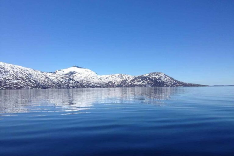 Open Boat Glacier Expedition | Nuuk Icefjord - Image 5