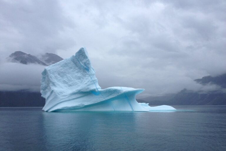 Open Boat Glacier Expedition | Nuuk Icefjord - Image 3
