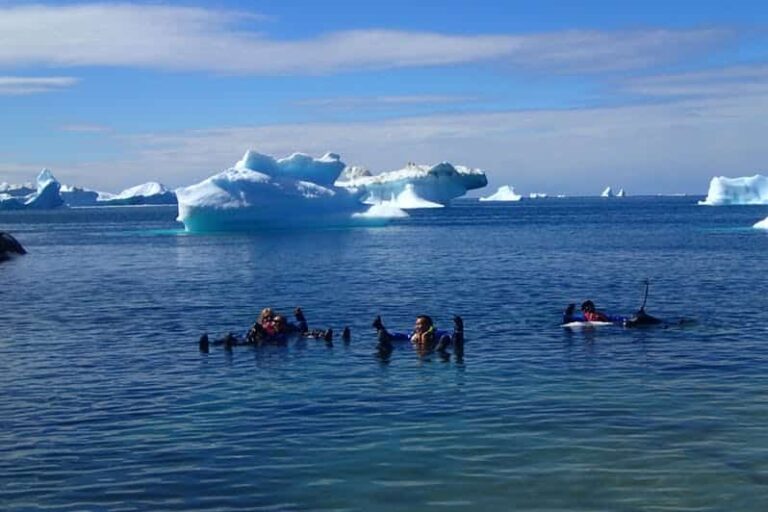 Sejltur til Oqaatsut og Kajak blandt isbjerge | Ilulissat - Billede 6