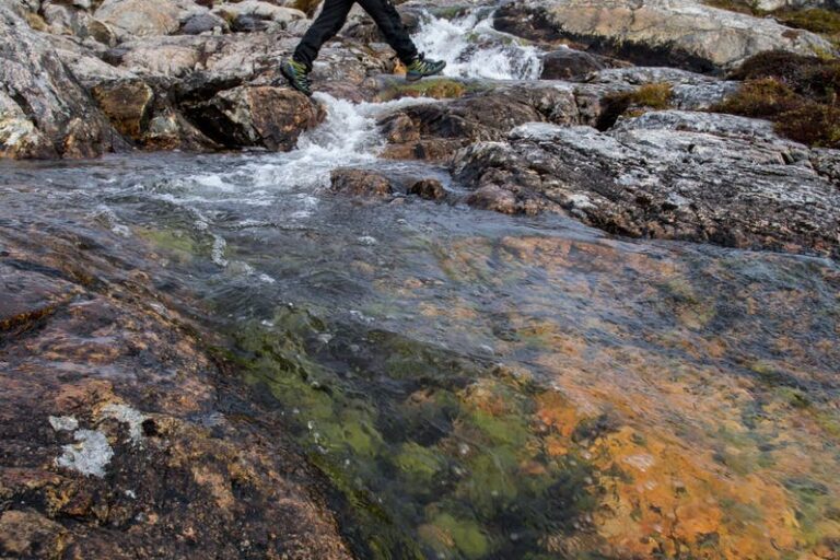 Sejltur til Oqaatsut og Kajak blandt isbjerge | Ilulissat - Billede 7