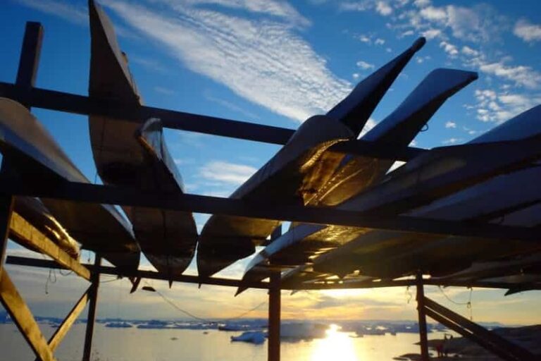 Sejltur til Oqaatsut og Kajak blandt isbjerge | Ilulissat - Billede 8