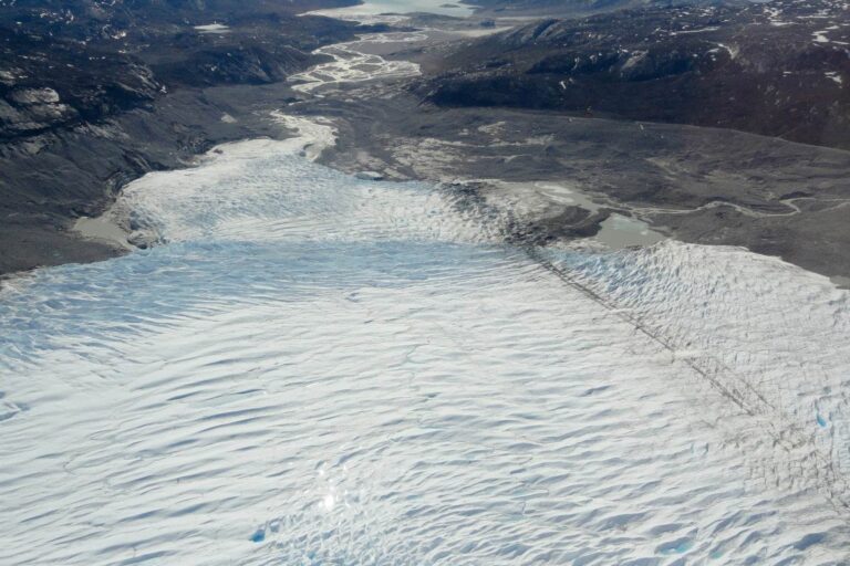 Paradise Valley & Ice Cap Tour | Kangerlussuaq - Image 7