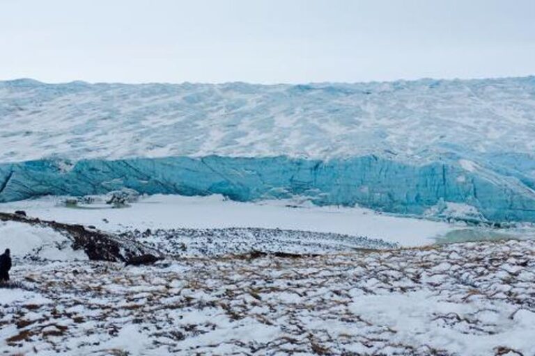 Point 660 og Indlandsisen | Kangerlussuaq - Billede 7