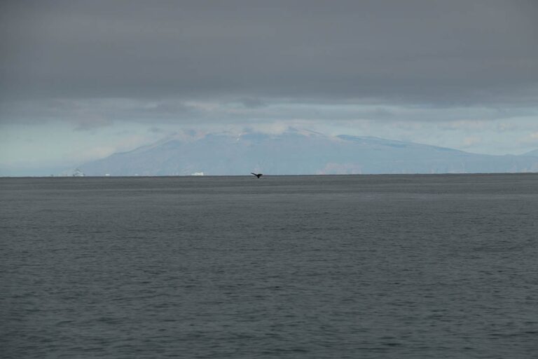 Arctic Desert Experience | Uummannaq | North Greenland - Image 7