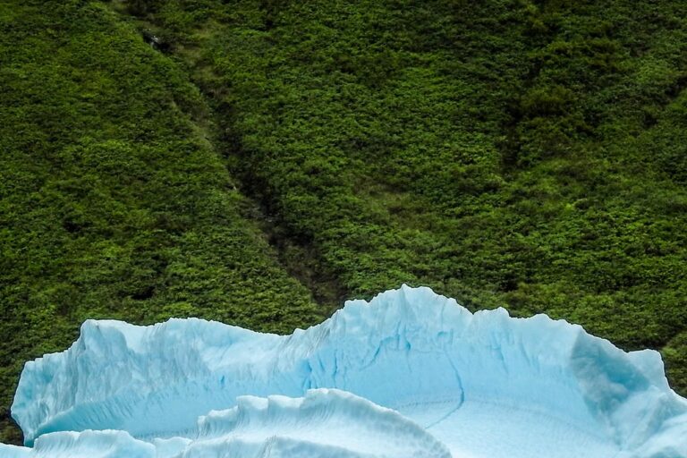 Private Fiord Adventure | Nuuk - Image 2