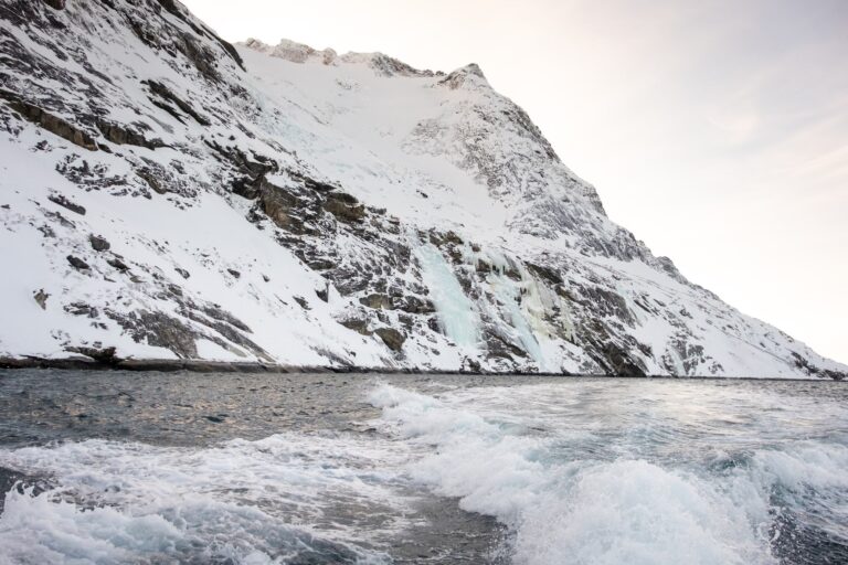 Private Fiord Adventure | Nuuk - Image 10