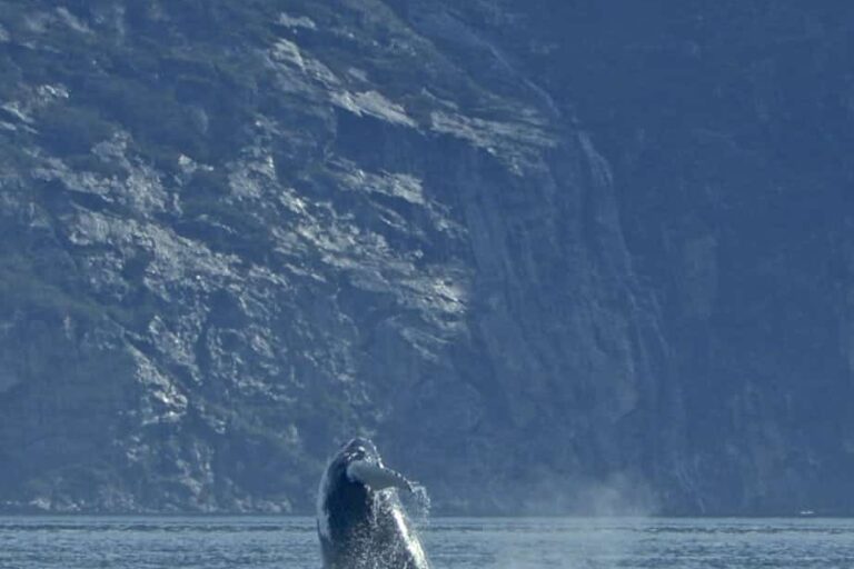 Private Fiord Adventure | Nuuk - Image 7