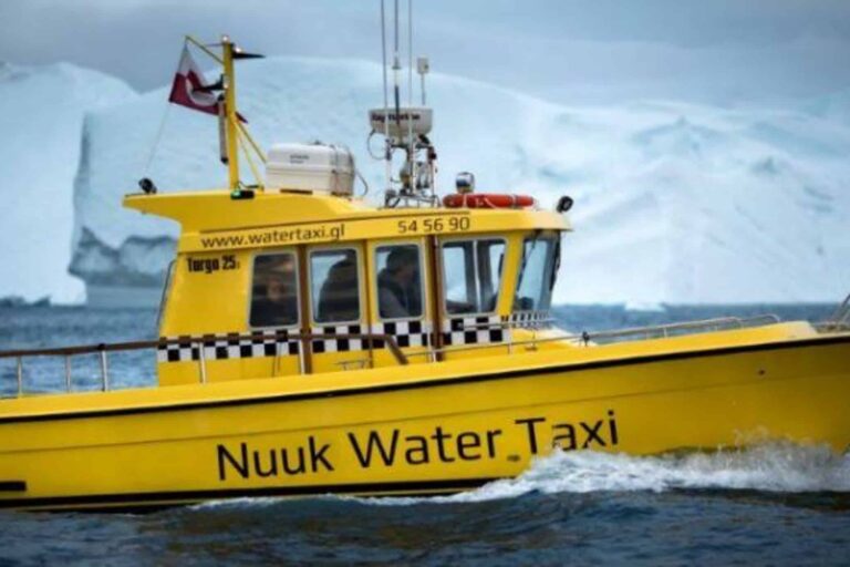 Private Glacier Cruise | Narsap Sermia Glacier | Nuuk - Image 10